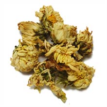 Organic Chrysanthemum
